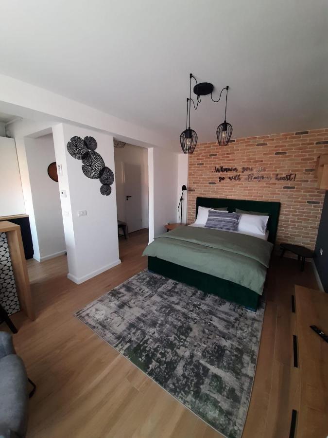 City Center View Studio Apartment 1 Timişoara Buitenkant foto