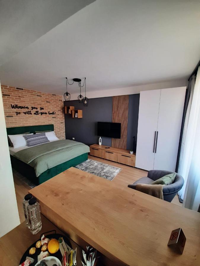 City Center View Studio Apartment 1 Timişoara Buitenkant foto